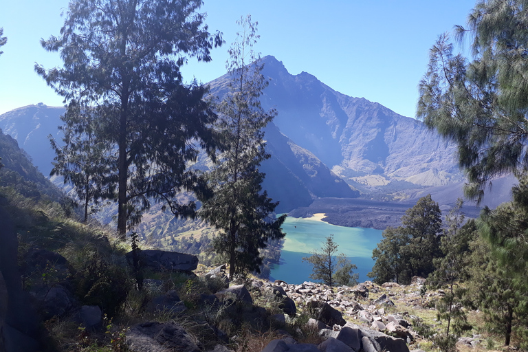 Mt. Rinjani 2-daagse krater- of toppenwandeling met kruierservice