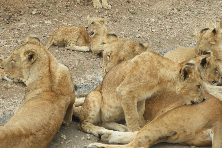Unidad de Parque Nacional de Nairobi