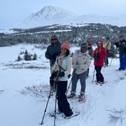 Desde Anchorage: Aventura con raquetas de nieve para principiantes en los Alpes Glen