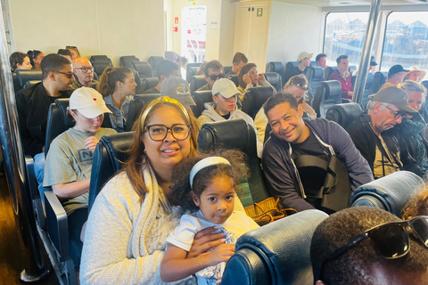 Robben Island, Penguins & Cape of Good Hope Adventure