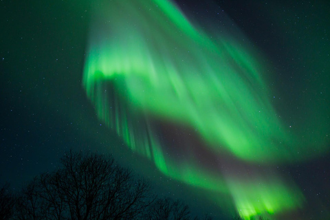 Rovaniemi: Aurora Hunting with 100% Refund. Small Group. Rovaniemi: Aurora Treasure Expedition & Refund (Standard)