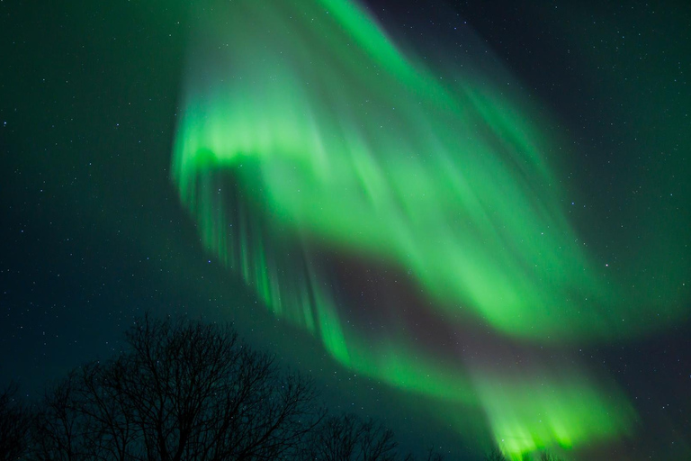 Rovaniemi: Aurora Hunting with 100% Refund. Small Group. Rovaniemi: Aurora Treasure Expedition & Refund (Standard)