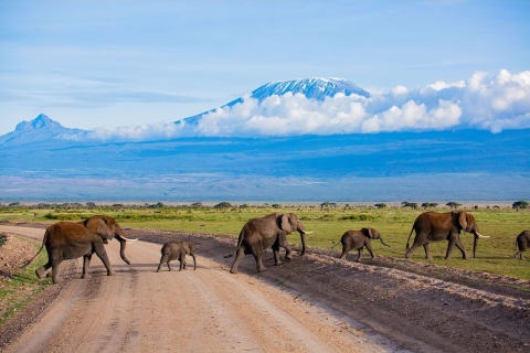 3 Días, 2 Noches Parque Nacional de Amboseli desde Nairobi3 DÍAS, 2 NOCHES PARQUE NACIONAL DE AMBOSELI DESDE NAIROBI