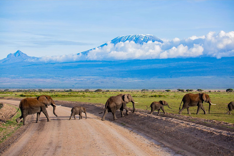 3 jours, 2 nuits Parc national d'Amboseli depuis Nairobi3 JOURS, 2 NUITS PARC NATIONAL D'AMBOSELI AU DÉPART DE NAIROBI