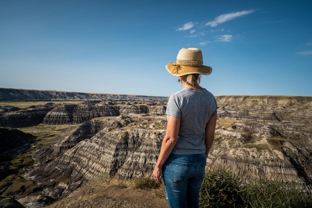 Small Group Guided Drumheller Tour with Museum Ticket & More