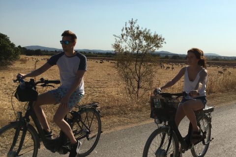 Best of Vilamoura: 3-Hour Guided Bike Tour