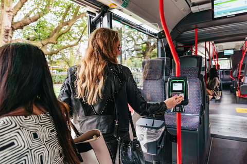 Amsterdam: Trasferimento in autobus espresso dall&#039;aeroporto a/da il centro cittàTransfer aeroportuale espresso di andata e ritorno per la città (valido 14 giorni)