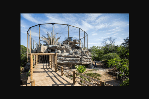 EXCURSIÓN TERRESTRE ISLA DEL ENCANTO + VISITA AL AVIARIO