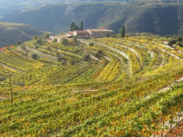Gardasee: Wein- und Foodtour im Valpolicella