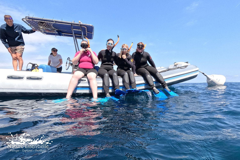 A day in the Lérins Islands: Snorkeling, Yoga & Running A Day in the Lérins Islands: Snorkeling, Yoga & Running