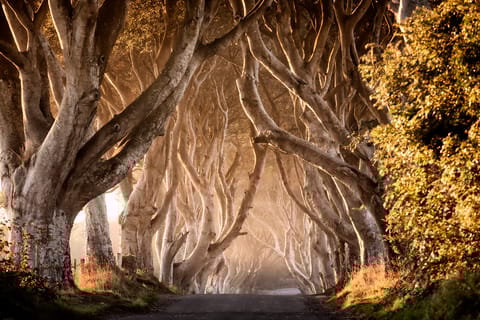 Belfast: Game of Thrones Tour Plus 1-Day City Tour Pass