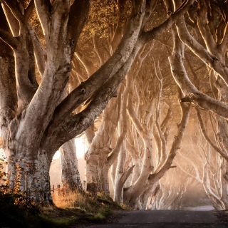 Belfast: Game of Thrones Tour w/ a 2-Day City Tour Pass