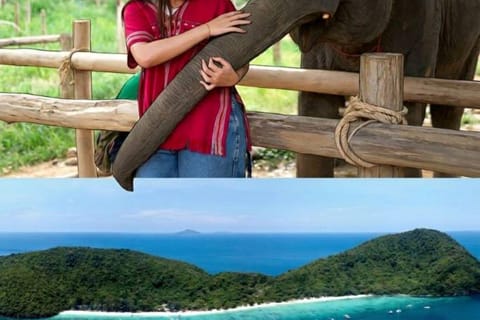 LOCATION: Coral Island Snorkeling and Elephant Camp Tour