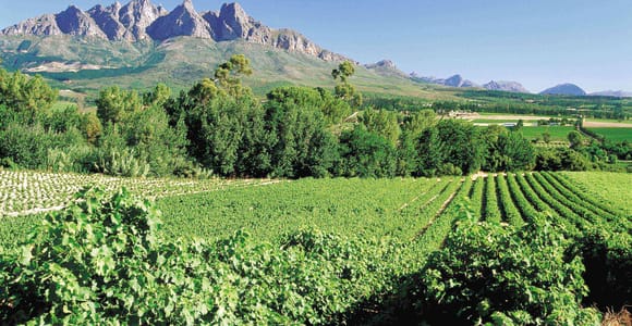 Von Kapstadt zu den Winelands: Tagestour mit Weinprobe
