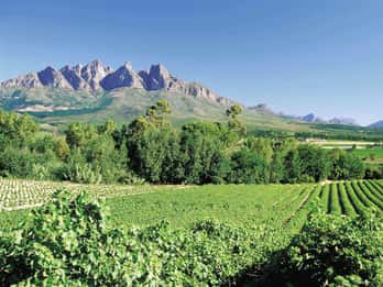Ab Kapstadt: Tagestour durch die Winelands mit Weinprobe Ab Kapstadt: Tagestour durch die Winelands mit Weinprobe
