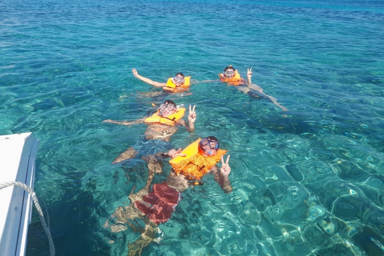 Rozeneiland Halve dag snorkelen, schildpadden, zwemmende varkens