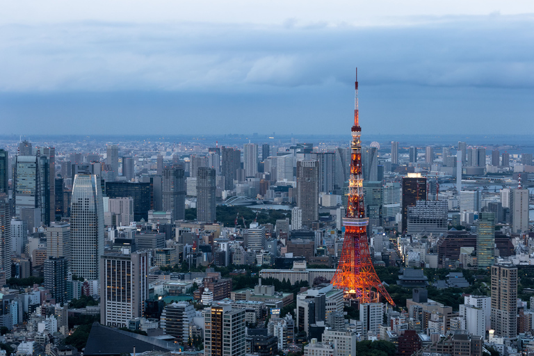 Tokio: 1-daagse privéaanpasbare tour met de autoTokio: 1-daagse privé-aanpasbare tour per auto