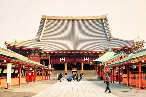 Tokio: Tour Privado Personalizable de 1 Día en Coche