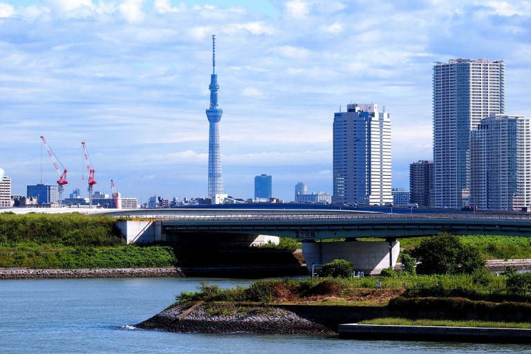 Tokio: 1-daagse privéaanpasbare tour met de autoTokio: 1-daagse privé-aanpasbare tour per auto
