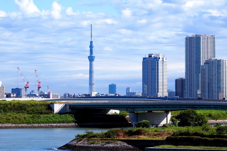 Tokio: 1-daagse privéaanpasbare tour met de autoTokio: 1-daagse privé-aanpasbare tour per auto