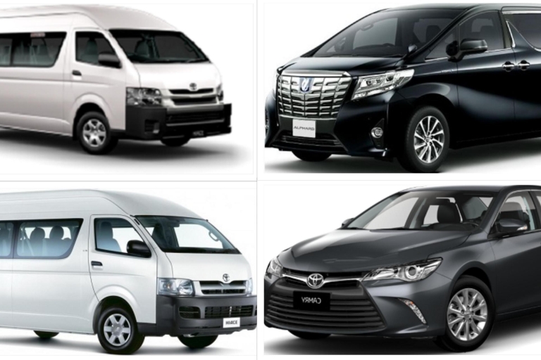 Tokio: tour privado personalizable de 1 día en cocheTokio: tour personalizable de 1 día en automóvil