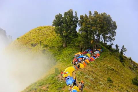Mount Rinjani: 2Day 1Night Summit Trek With Smal Group Tours