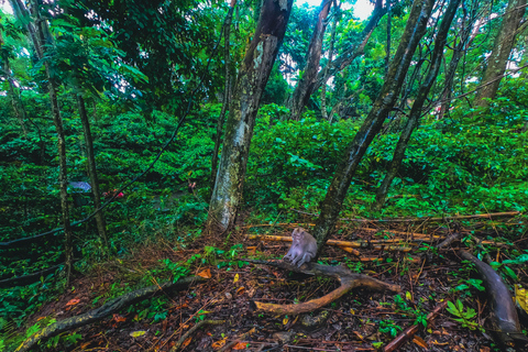 Bali: Monkey Forest, Taman Ayun, Tanah Lot Temple Tour Private Tour Without Entry Tickets