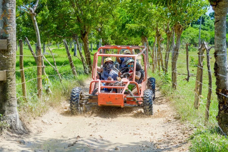 Punta Cana: Macao Buggy Tour with Hotel Pickup