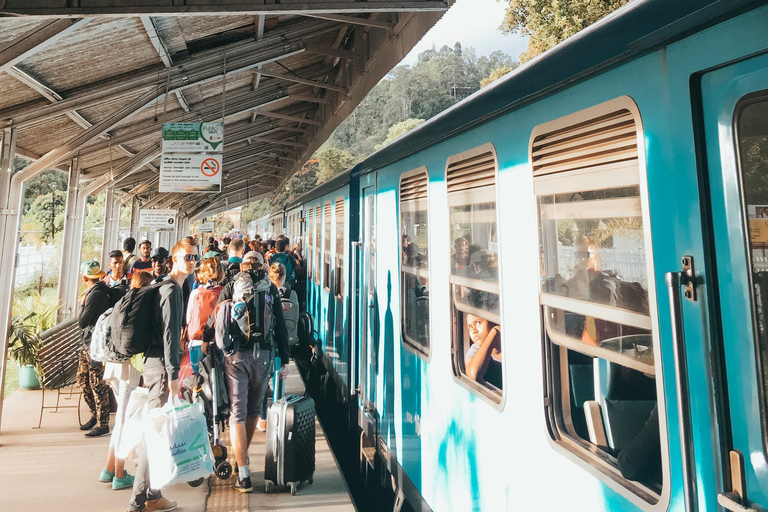 Kandy to Ella Drop: With Train Ride from Badulla