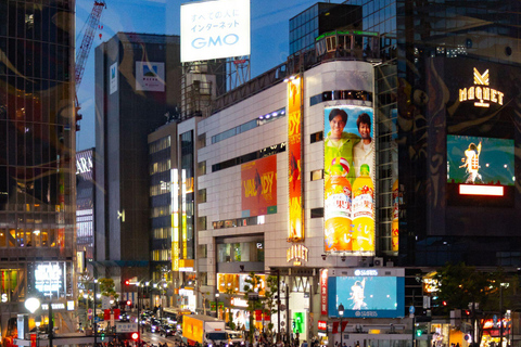 Tokyo: Luxury Private Full-Day City Tour by Alphard Luxury Alphard