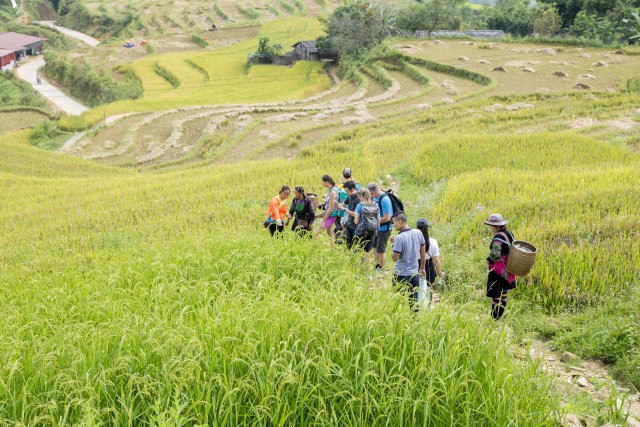 Visit From Hanoi 2-Day Sa Pa Ethnic Homestay Tour with Trekking in Sapa, Vietnam