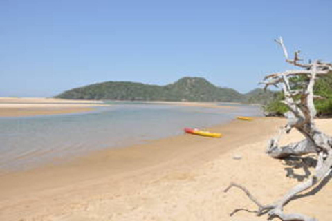 Hazyview: South Africa, Mozambique, & Eswatini 8-Day Safari