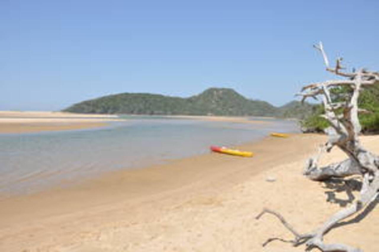 Hazyview: South Africa, Mozambique, & Eswatini 8-Day Safari