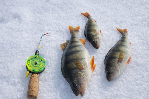 Rovaniemi: Ice Fishing, Snowmobile, and Net Fishing Tour