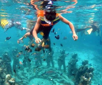 From Bali: 2-Day Private Gili Island Snorkel Tour with Hotel