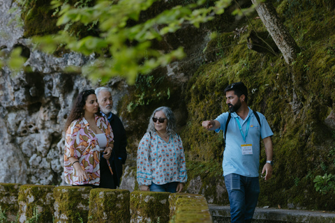 Sintra: Biglietto d'ingresso per Quinta da Regaleira e tour guidatoTour in portoghese
