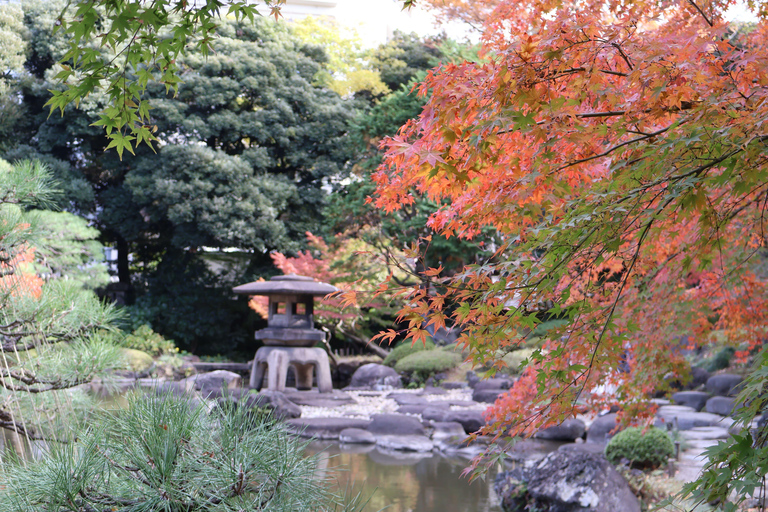 Tokyo Imperial Palace Walking Tour with Expert Guide