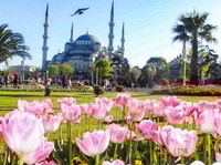 Istanbul, Blue Mosque & Hagia Sophia Guided Tour w/ Tickets - Housity