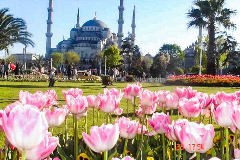 Istanbul: Blue Mosque & Hagia Sophia Small-Group Tour Private 4-Hour Tour in German