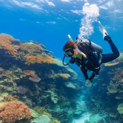 Townsville & Magnetic Island: Reef Explorer Scuba Experience