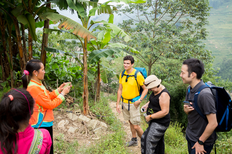 From Hanoi: Two-Day Sapa Tour with Fansipan Peak Visit