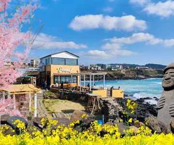 Jeju island : West & South Full-Day Tour