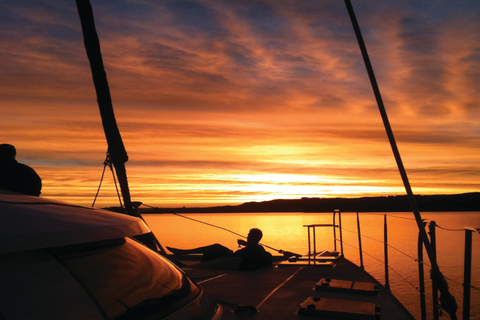 Taupo: Māori Rock Carvings Lake Taupo Sailing TourTour at 3:30 PM