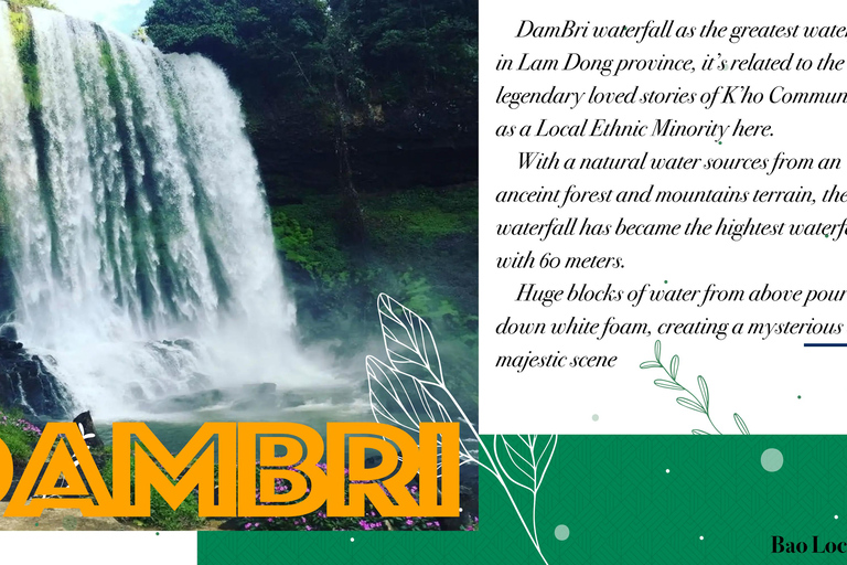 3D2N-tur – Från Ho Chi Minh-staden till Bao Loc-stadenBao Loc City: 3-dagars tur