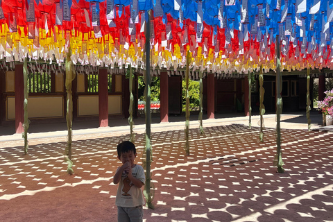 Private Gyeongju UNESCO Tour with Ryan - Starts in Gyeongju From Gyeongju: Private UNESCO Highlights with a Local Guide