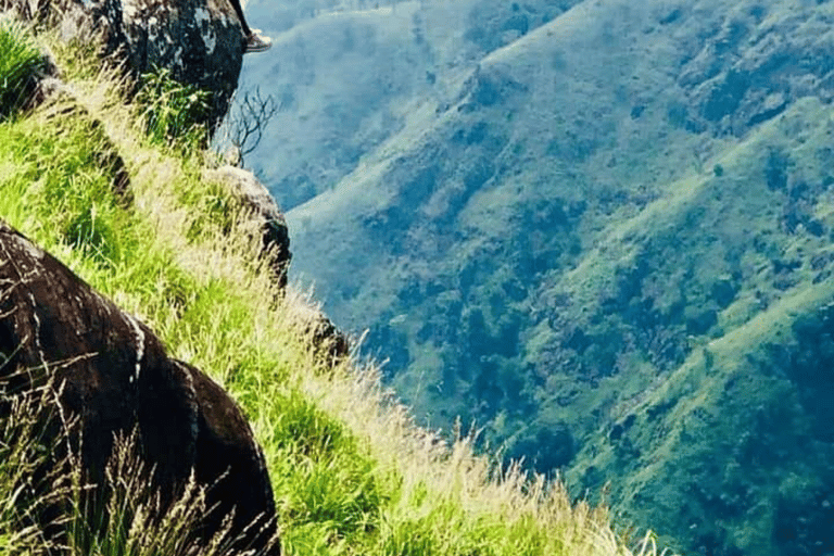 Ella: Ella Rock Hiking Tour with Tuk-Tuk