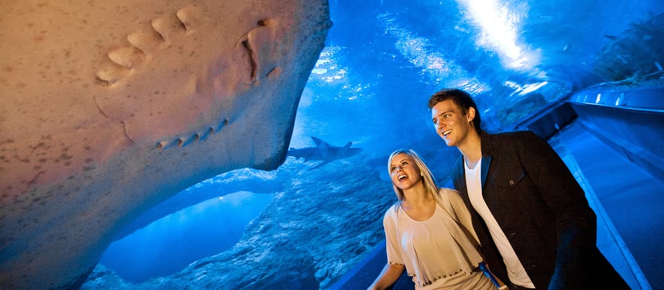 Perth, AQWA Aquarium of Western Australia Entradas - Hizvo