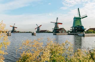 Ab Amsterdam: Zaanse Schans, Edam & Marken - Tagestour