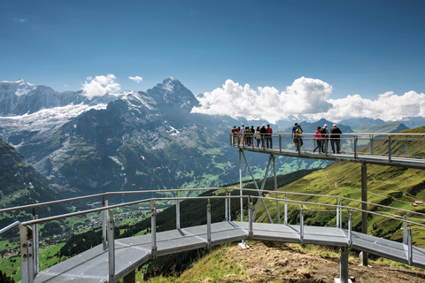 Lucerna: Grindelwald First Mountain Tour