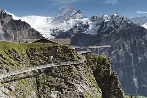 Lucerna: Grindelwald First Mountain Tour